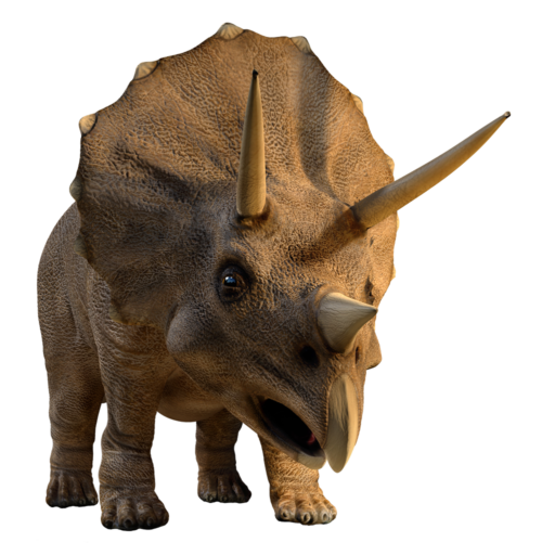 Home Wyoming Dinosaur Center