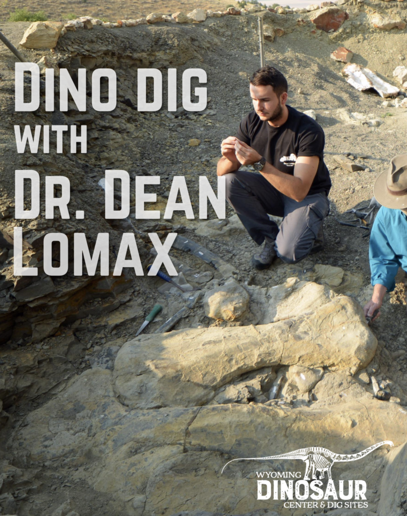 Dino Dig with Dean Lomax. Paleontologist Dean Lomax examines a dinosaur fossil at Wyoming Dinosaur Center.