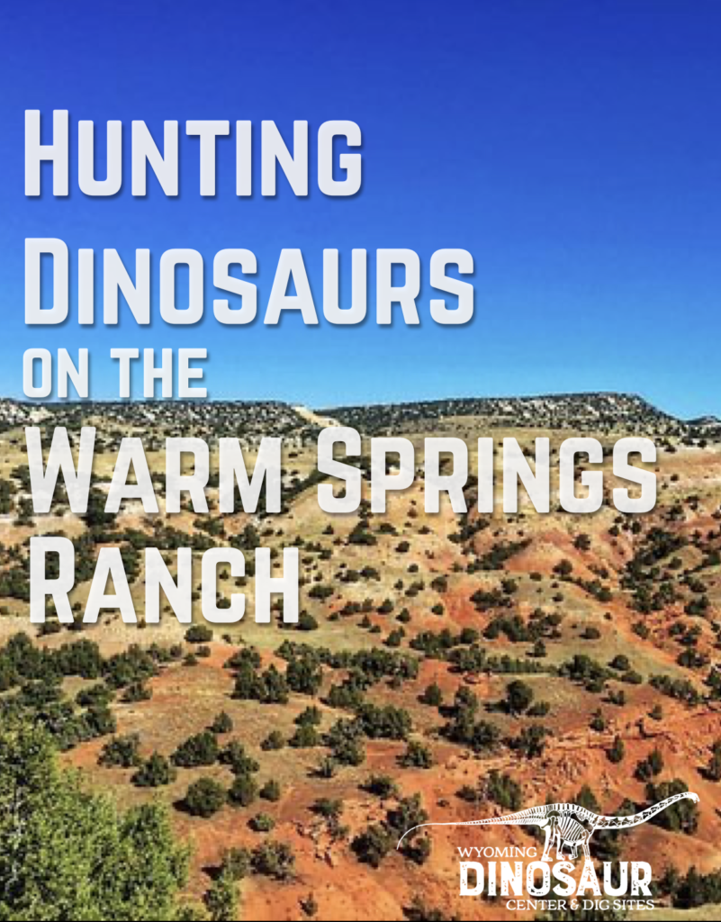 Hunting Dinosaurs on the Warm Springs Ranch - a wide range of rolling hills depicts a site full of dinosaur fossils waiting to be discovered.